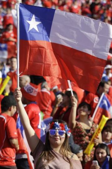 Hinchas chilenos vivieron la final con entusiasmo. 