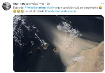 Los mejores memes y tuits sobre el polvo sahariano en España