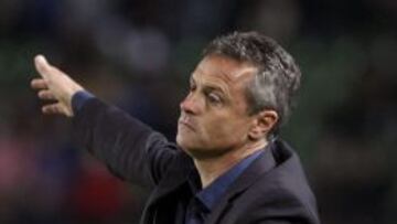 El entrenador del Elche CF, Fran Escribá, durante el partido, correspondiente a la trigésima jornada de Liga en Primera División, que Athletic Club y Elche CF disputan esta noche en el estadio Martínez Valero, en Elche.