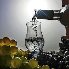 Feria del Pisco 2024 en Chile: cuándo es, fechas y dónde comprar entradas para el evento