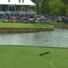 En uno de los peores momentos de su carrera deportiva un fan insultó gravemente a Rahm