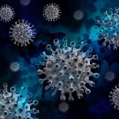 Se confirman primeros casos de ‘Perro del infierno’ en México, la nueva variante de Covid-19