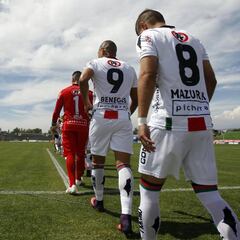 La compleja semana que vivió Palestino con renuncias y amenazas