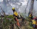 Hay 106 incendios forestales activos en México