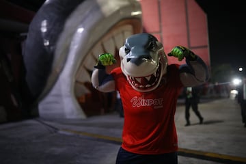 Los tiburones padecieron mucho en sus 2 últimos torneos en el fútbol mexicano y sin duda, lo más rescatable fue su mascota oficial, El Tibu Jarocho, quién con su ingenio y carisma se ganó el corazón de todos los aficionados.