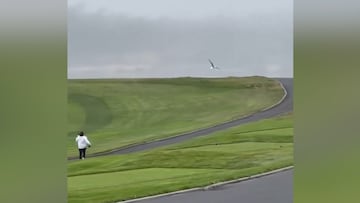 Unbelievable scene! Seagull snatches wallet from golfer at Pebble Beach