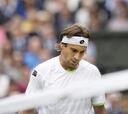 Ferrer: "Del Potro me ganó porque fue mejor en todo"