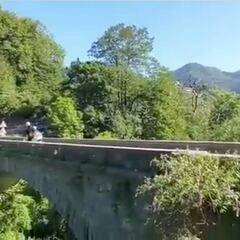 Sale una nueva toma de cómo se despeña Evenepoel y deja claro lo cerca que estuvo la tragedia