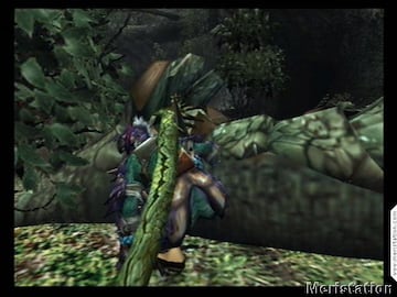 Captura de pantalla - meristation_monsterhunter2_ps2_166.jpg