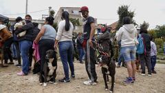 Ingreso Solidario en Colombia hoy, viernes 7 de enero del 2022. Conozca las &uacute;ltimas noticias del subsidio, los montos y qui&eacute;n lo puede cobrar.