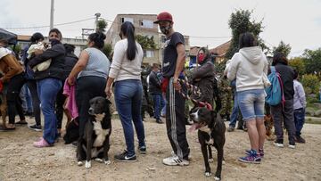 Ingreso Solidario en Colombia hoy, viernes 7 de enero del 2022. Conozca las últimas noticias del subsidio, los montos y quién lo puede cobrar.