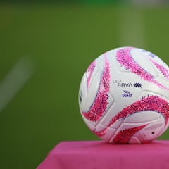 Puebla vs Chivas rescheduled: looking back at notable Liga MX postponements