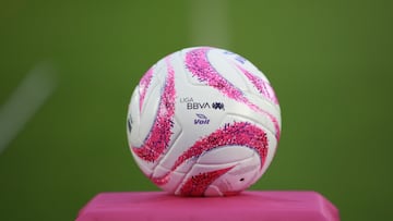 Official Ball during the game FC Juarez vs Pachuca, corresponding to Round 13 of the Torneo Apertura 2023 of the Liga BBVA MX, at Olimpico Benito Juarez Stadium, on October 20, 2023.
<br><br>
Balon Oficial Rosa en la lucha contra el cancer de mama durante el partido FC Juarez vs Pachuca, correspondiente a la Jornada 13 del Torneo Apertura 2023 de la Liga BBVA MX, en el Estadio Olimpico Benito Juarez, el 20 de Octubre de 2023.