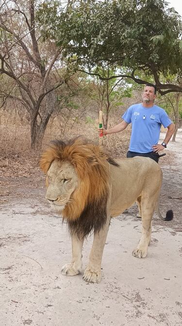 Contreras: “El Betis necesita a Isco más que el Madrid a Mbappé”