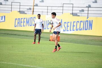 El equipo de Reinaldo Rueda tiene el gran objetivo de conseguir los tres puntos ante Ecuador en su casa. El partido será clave para la clasificación y el entrenador ya determina los detalles de los 11 jugadores que comenzarán el partido este jueves 13 de octubre. 