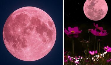 Luna Llena de abril 2025: ¿cuándo y a qué hora ver la Luna Rosa en México?