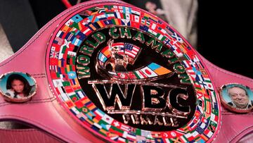 WBC president Mauricio Sulaimán has said that the sanctioning body intends to establish a new transgender boxing category in 2023.