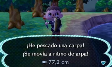 Captura de pantalla - Animal Crossing: New Leaf (3DS)