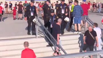 Police officer takes down Tottenham fan with baton