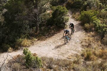 Ciclistas de mountain-bike por un sendero.