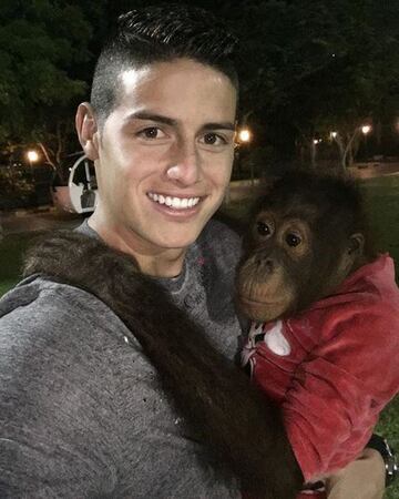 Aprovechando su tiempo vacacional en Madrid, el colombiano convivió con un pequeño chimpancé perteneciente a una reserva local.