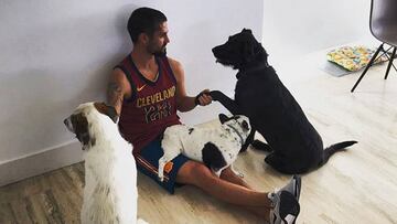 El futbolista del Real Madrid Isco Alarc&oacute;n en su casa con tres de sus perros.