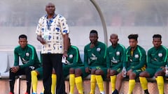 South Africa coach sacked after failure to qualify for AFCON