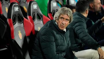 Pellegrini, ante el Mallorca.