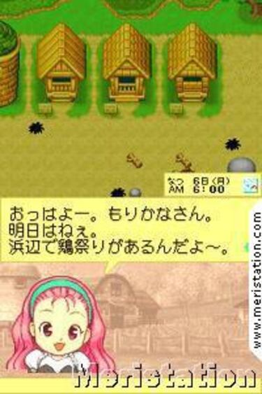 Harvest Moon DS