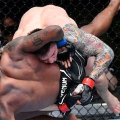 Vettori hostiga a Holland