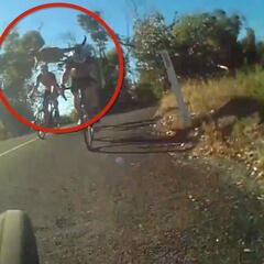 Alucinante: sales a rodar con tu bici... ¡Y te ataca un canguro!
