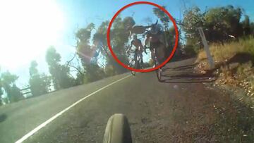 Alucinante: sales a rodar con tu bici... ¡Y te ataca un canguro!