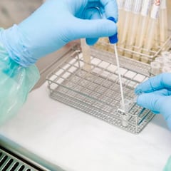 Aviso de la OMS con la variante ‘Kraken’