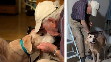 anciano y su perra perdida Sunny