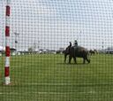 Las imágenes más curiosas del Torneo de Polo con elefantes