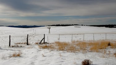 Ya vienen los Reyes Magos…