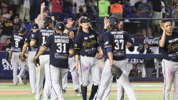 Rieleros de Aguscalientes, Liga Mexicana de Béisbol.