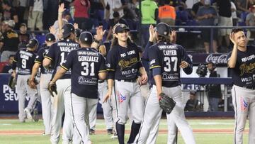 Rieleros de Aguscalientes, Liga Mexicana de B&eacute;isbol. 