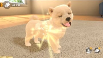 Little Friends: Dogs & Cats, un título estilo Nintendogs, llegará a Switch