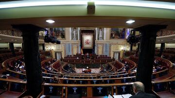 El Congreso plantea suspender cinco minutos los partidos ante cánticos homófobos