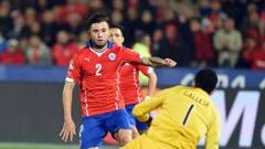 Mena: "Chile esperaba un título así hace mucho tiempo"