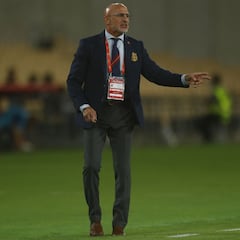 Luis de la Fuente: "Me quedé con la sensación de que un error nos ha dejado sin un título"