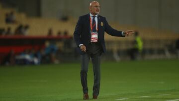 Luis de la Fuente: "Me quedé con la sensación de que un error nos ha dejado sin un título"