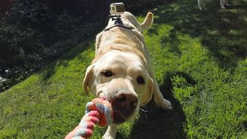 Locuras originales que puedes hacer con tu GoPro