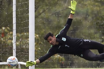 El argentino Fernando Monetti lucha por un puesto nuevamente como titular. 