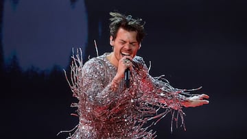 Harry Styles ha acumulado una gran fortuna gracias a su carrera musical, que comenzó en One Direction. Así es su patrimonio.