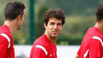 <b>ENTRENAMIENTO. </b>Cesc, entre Van Persie y Chamakh.
