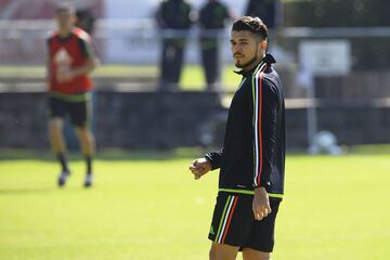 El jugador del América ha recibido constantes llamados recientemente gracias a su actuaciones con el cuadro de Coapa