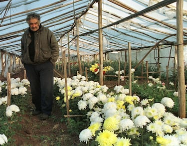 El ex líder guerrillero José Mújica camina por su finca de flores, en Montevideo, Uruguay, el 8 de junio de 1999.