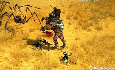 Sacred 2: Fallen Angel, Impresiones